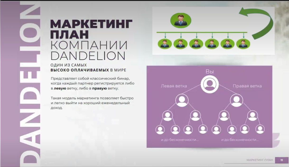 Почему маркетинг-план Dandelion лучше, чем у других компаний? Высокие и прозрачные выплаты – конкурентные % с продаж и бонусы за активность. Простота и доступность – лёгкий старт даже для новичков, минимум условий для вывода средств. Многоуровневая система – доход не только со своих клиентов, но и с команды. Автоматизация процессов – моментальные начисления и удобный личный кабинет. Эксклюзивные промоматериалы – готовые креативы, landing page и инструменты для продвижения. Поддержка 24/7 – обучение, помощь в настройке рекламы и быстрые ответы на вопросы. Гибкость – подходит для разных бизнес-моделей (CPA, RevShare, гибридные схемы). Dandelion даёт больше возможностей для стабильного заработка без лишних сложностей! 💎🔥