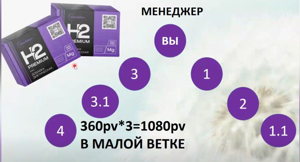 данделион маркетинг план dandelion партнерская программа компенсационный план