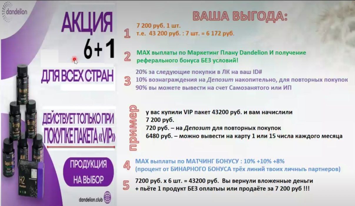 данделион маркетинг план dandelion партнерская программа компенсационный план