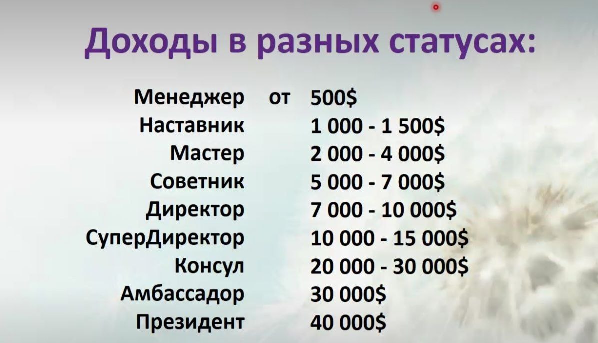 данделион маркетинг план dandelion партнерская программа компенсационный план