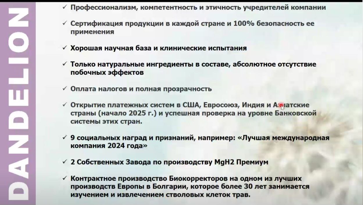 данделион маркетинг план dandelion партнерская программа компенсационный план