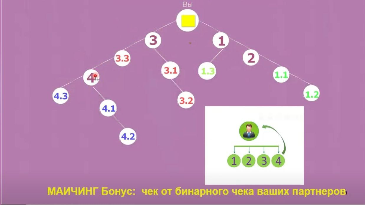 данделион маркетинг план dandelion партнерская программа компенсационный план
