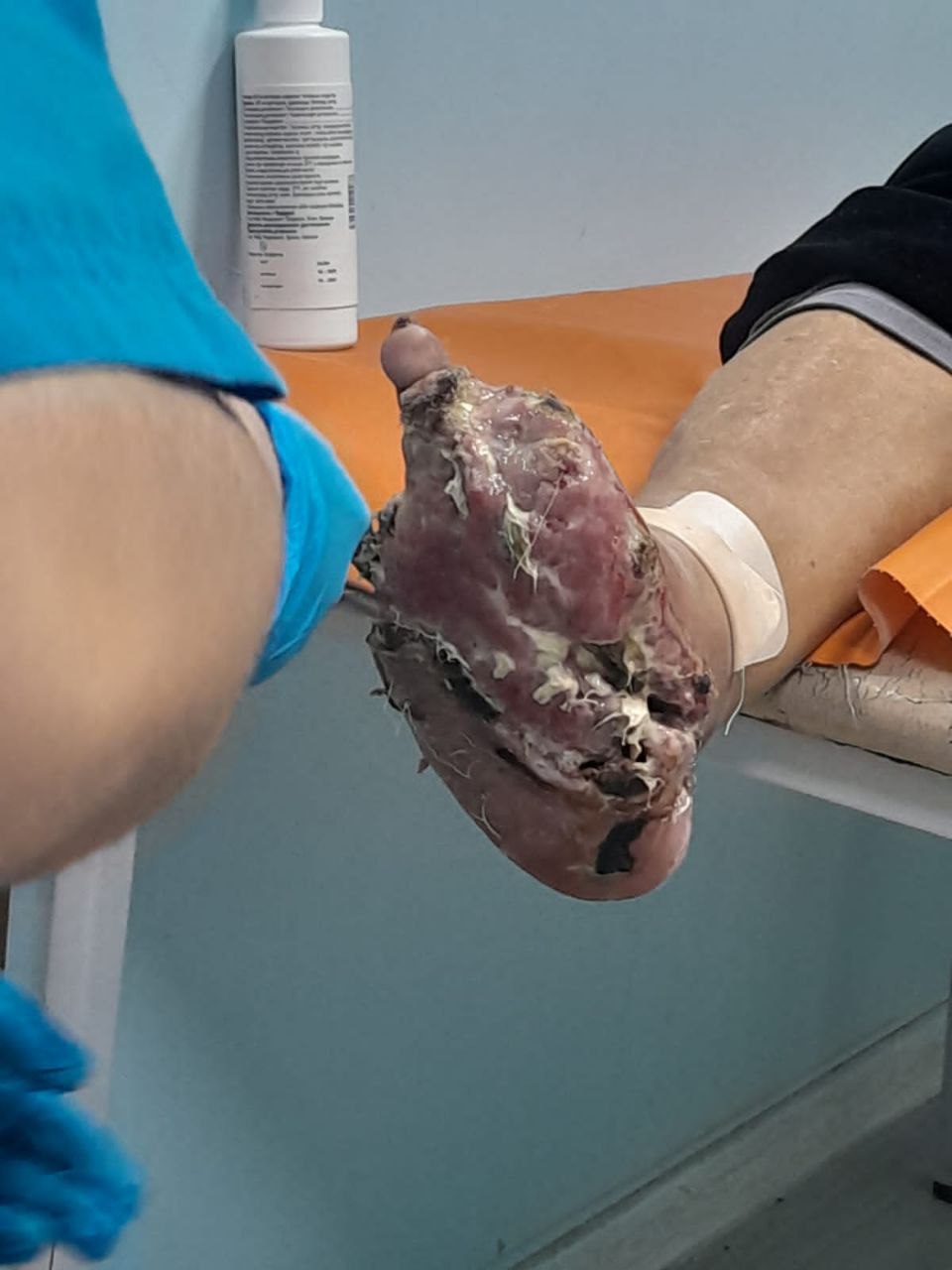 photo-1753370340929-orq2uxjr9.jpg