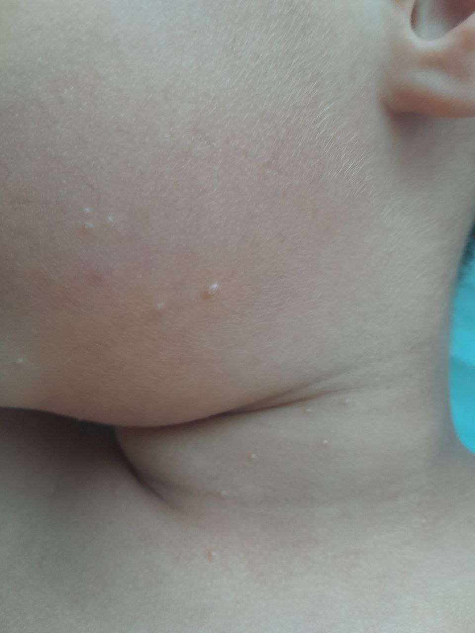 photo-1753380240584-exuupuqaf.jpg